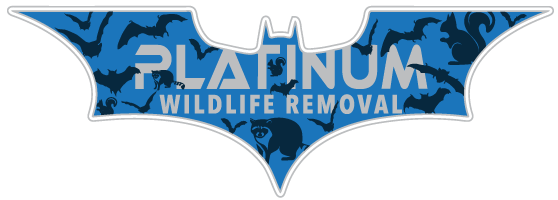 Elkhart Animal Removal